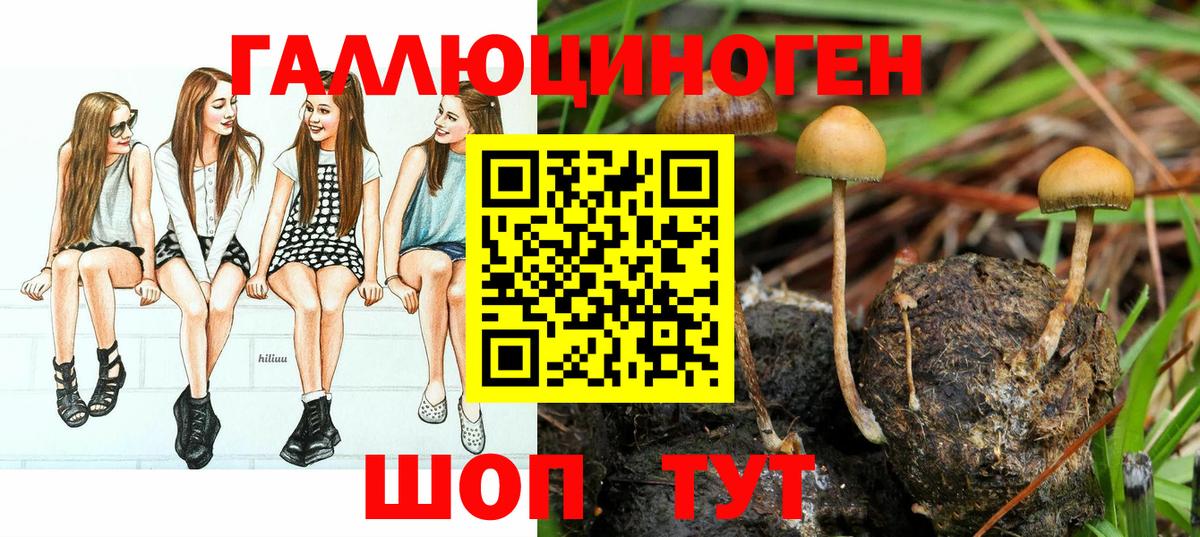 Югорск  Галлюциногенные грибы Cubensis  Псилоцибиновые грибы Psilocybine cubensis  Вход с VPN 