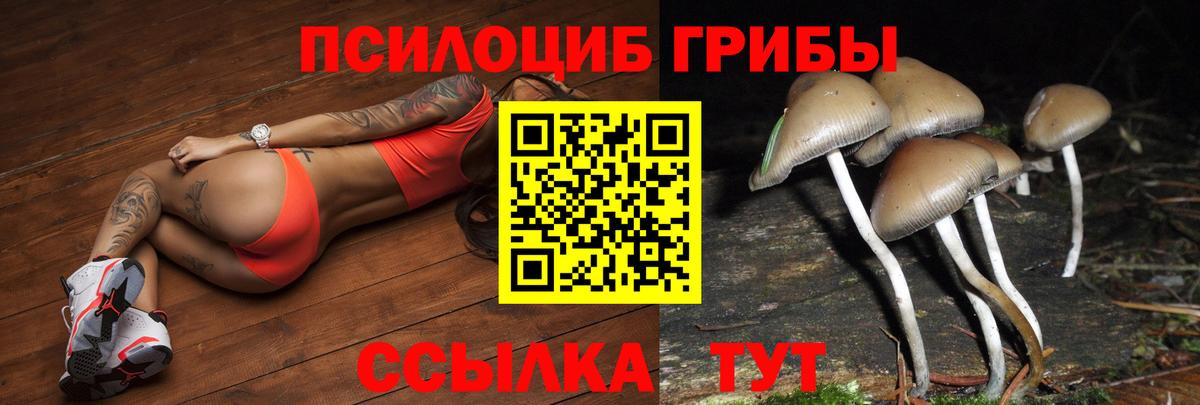 Галлюциногенные грибы GOLDEN TEACHER Югорск